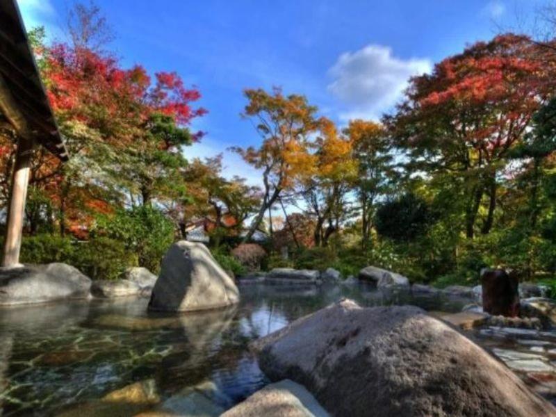 Yoshiike Ryokan Hakone Eksteriør billede
