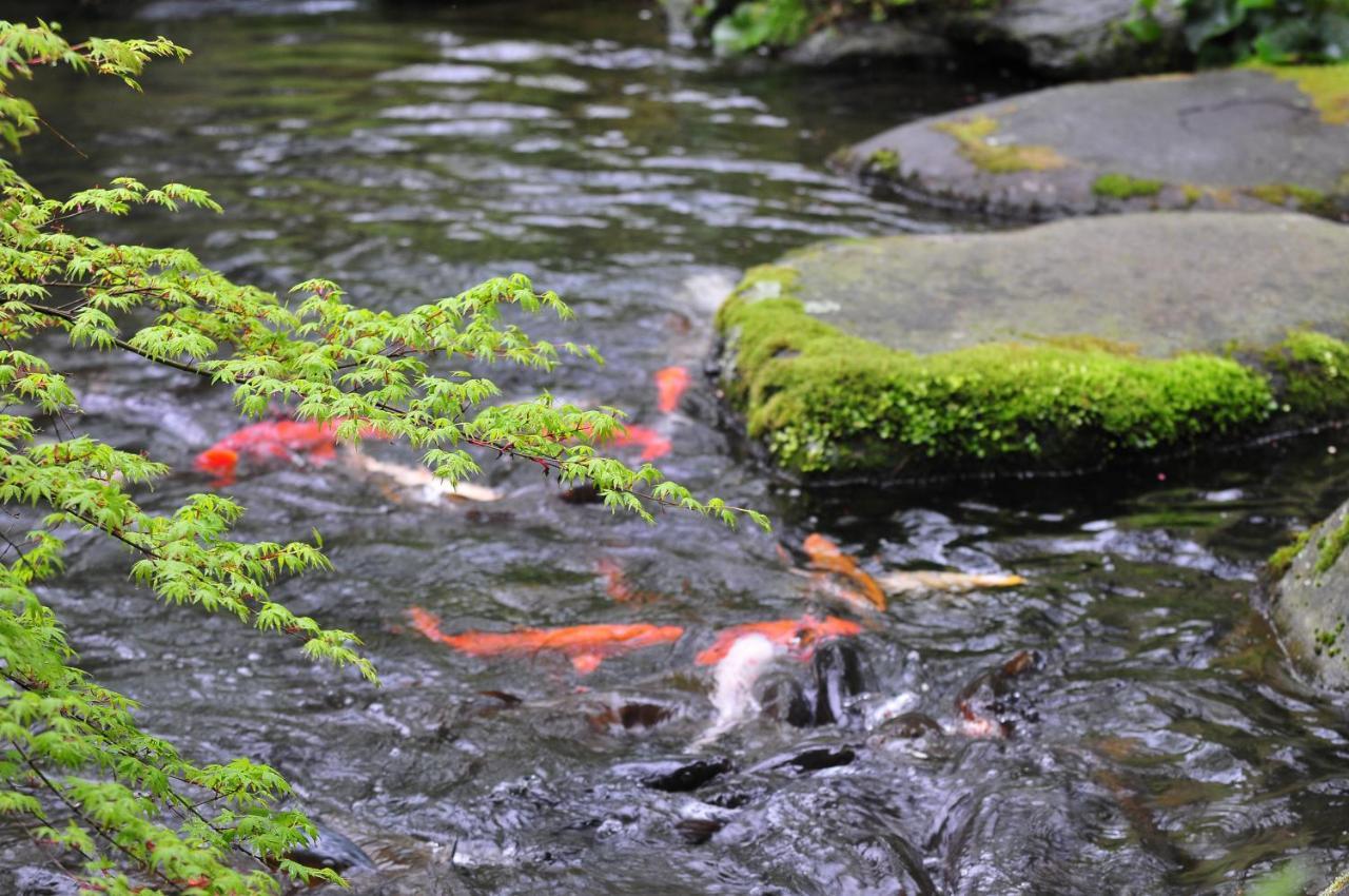 Yoshiike Ryokan Hakone Eksteriør billede